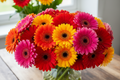 Gerberas